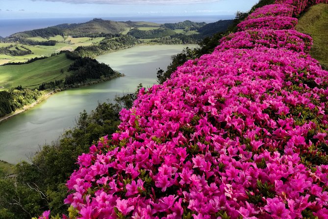 Full Day Jeep Tour Furnas with lunch (Cozido) and drinks included - Key Highlights Worth Caring About