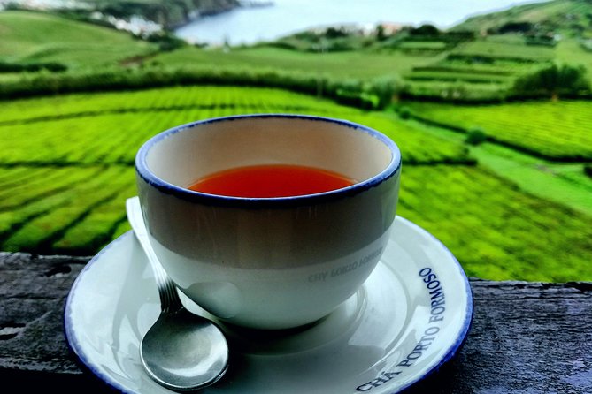 Full Day Jeep Tour Furnas with lunch (Cozido) and drinks included - Price and Value: What $108.89 Really Buys You