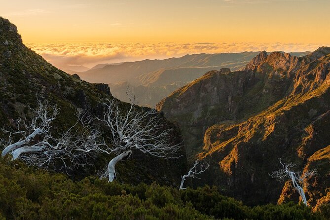 Full Day Madeira Island Tour - Open Roof - Ribeira da Janela, mountains rising from crystal-clear water