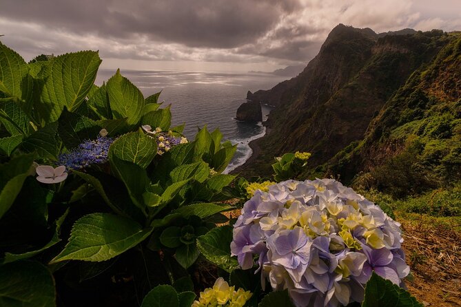 Full Day Madeira Island Tour - Open Roof - Posto Florestal Fanal, laurel trees and moody mist
