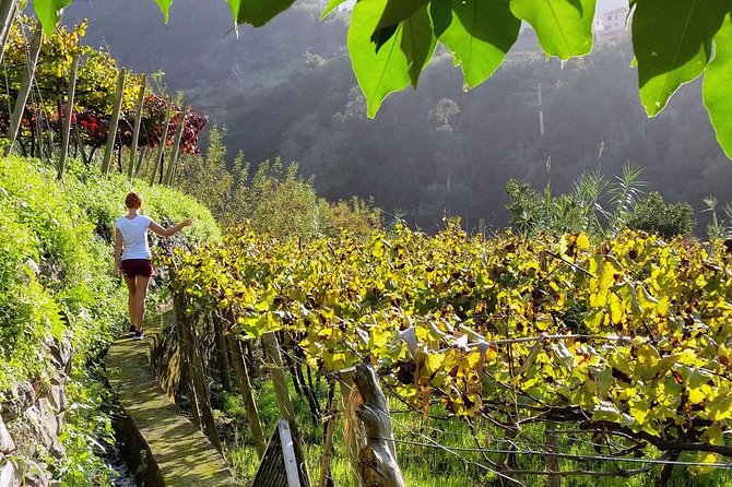 Full-Day Madeira Wine Tasting Tour with Lunch - Stop 1 in São Vicente: Volcanic Caves, Wine Culture, and a Cooler Pace