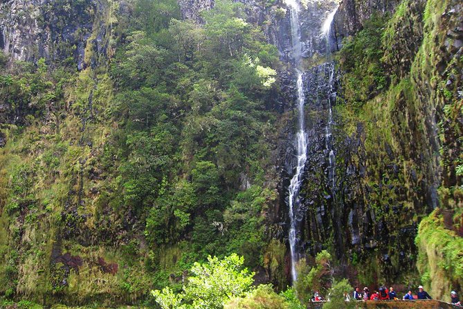 Full-Day Rabaçal Levada Walk from Funchal - Descent from Paul da Serra: Rabacal sets the tone fast