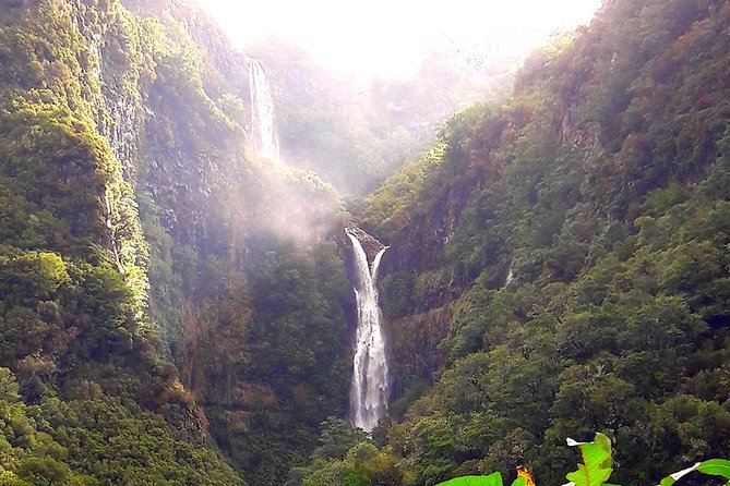 Full-Day Rabaçal Levada Walk from Funchal - Group size and guide quality: why “small group” is not just a label