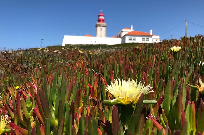 Full Day Tour: Sintra, Pena Palace, Cabo da Roca, Cascais - Price and Value: What You Actually Pay For
