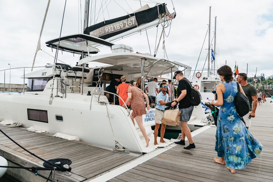 Funchal Bay: Dolphin & Whale Watch Luxury Catamaran Cruise - How They Handle Wildlife Encounters (and Why It Affects Your Experience)