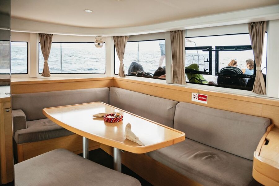 Funchal Bay: Dolphin & Whale Watch Luxury Catamaran Cruise - The Return Sail: Leisurely Views and a Smooth Ending
