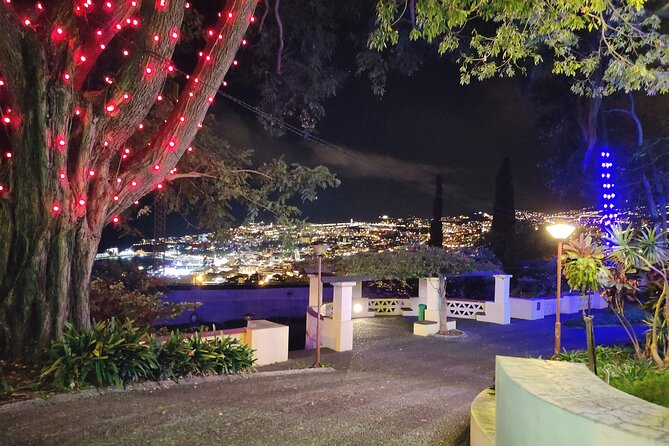 Funchal: Christmas Lights Sightseeing Night Tour - Photo stops and the viewpoint above Funchal