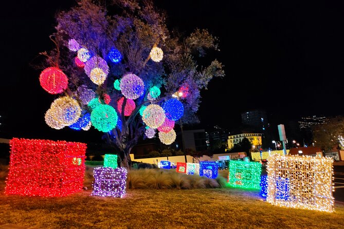 Funchal: Christmas Lights Sightseeing Night Tour - Guide style, language options, and why Rodolfo and Miguel matter