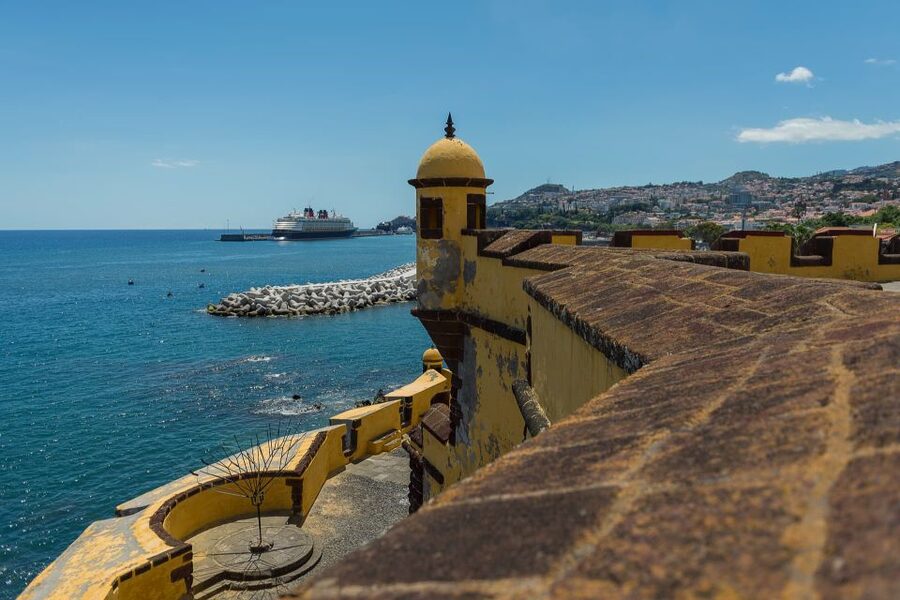 Funchal: City Highlights Tuk-Tuk Tour - The farmers market break, what to browse and how to use the stop