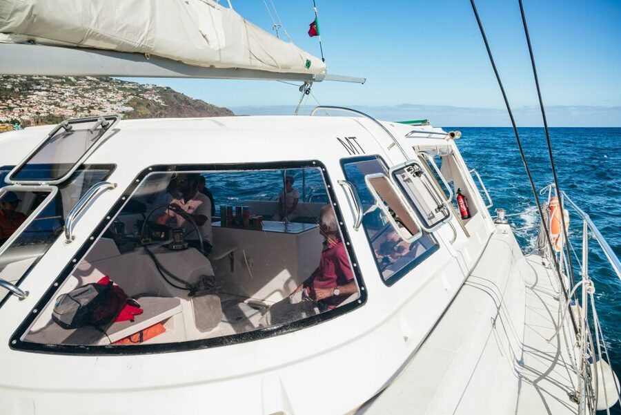 Funchal: Dolphin and Whale Watching by Luxury Catamaran - Key Highlights That Matter on This Catamaran