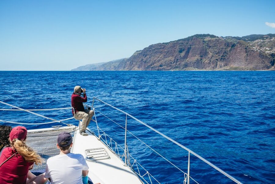Funchal: Dolphin and Whale Watching by Luxury Catamaran - What to Bring (and What to Avoid) for a Smooth Trip