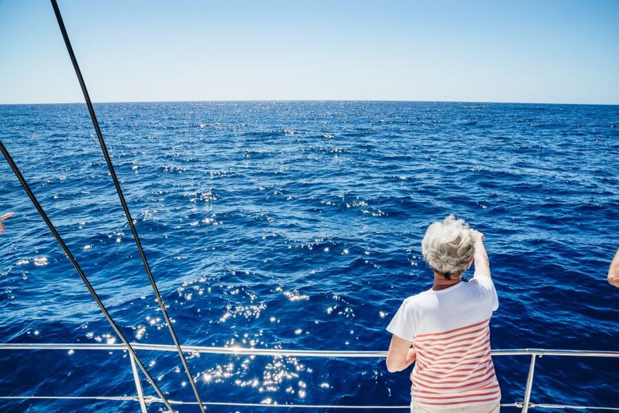 Funchal: Dolphin and Whale Watching by Luxury Catamaran - Meeting at Pier 8 and Boarding Without Stress