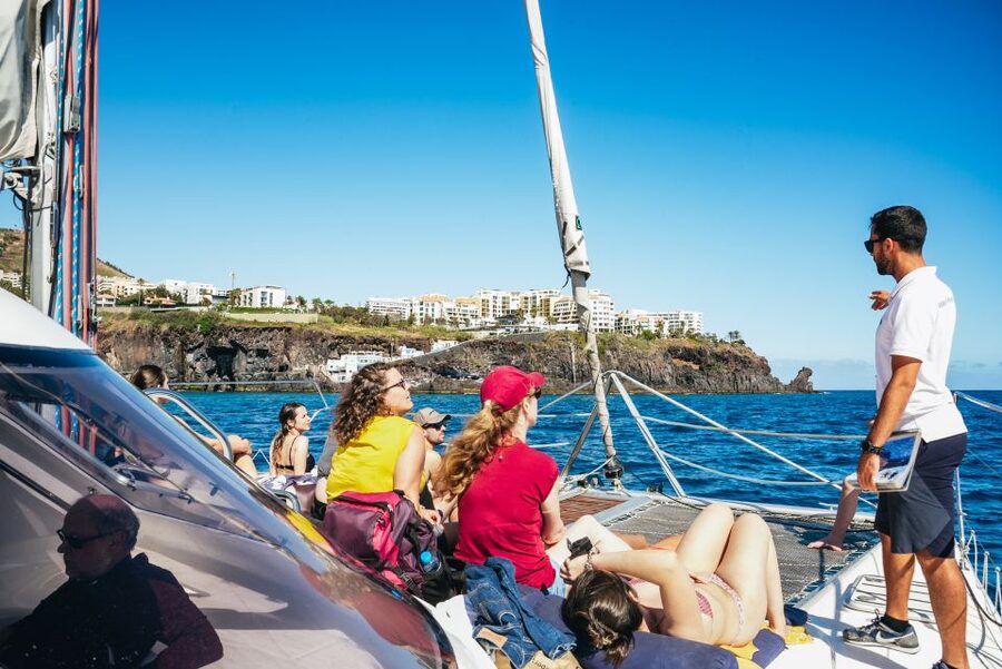 Funchal: Dolphin and Whale Watching by Luxury Catamaran - The First Leg on the Water: Spotting Dolphins, Whales, Turtles, and Birds