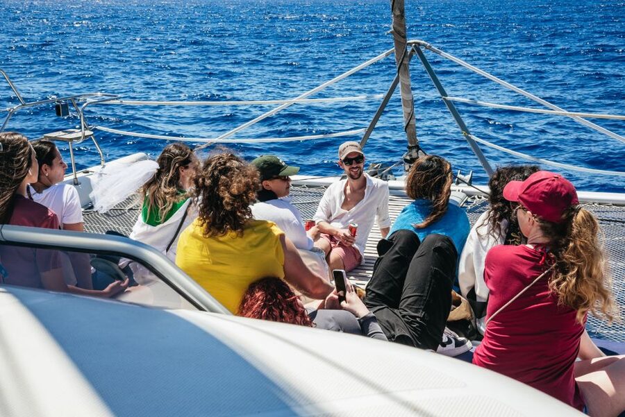 Funchal: Dolphin and Whale Watching by Luxury Catamaran - The Swimming Stop at Anchor: What You Can Expect by Season
