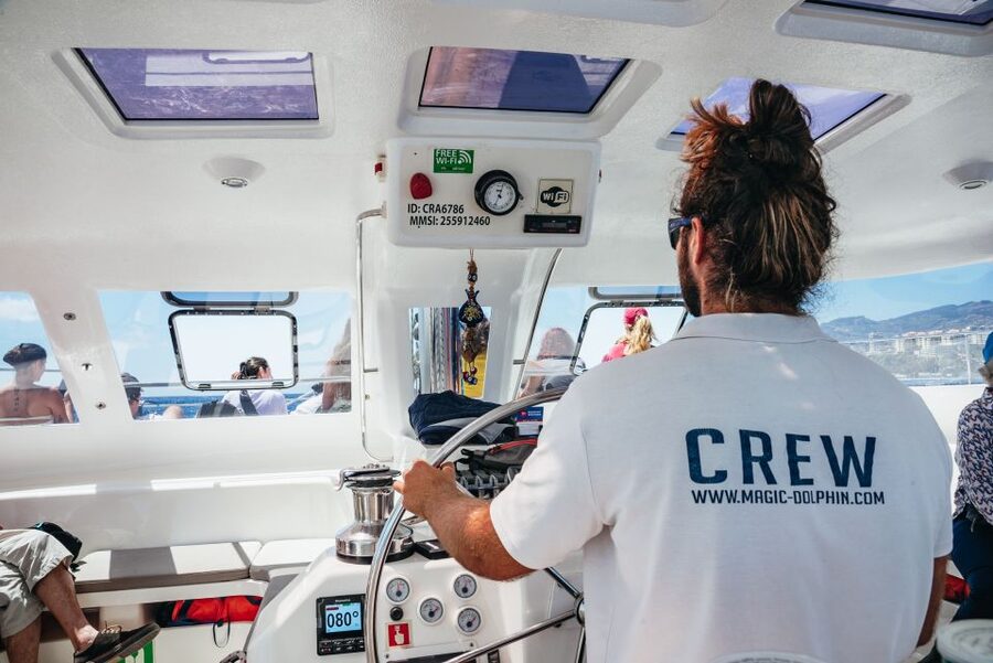 Funchal: Dolphin and Whale Watching by Luxury Catamaran - The Return Cruise to Funchal: More Sighting Time, Less Rush
