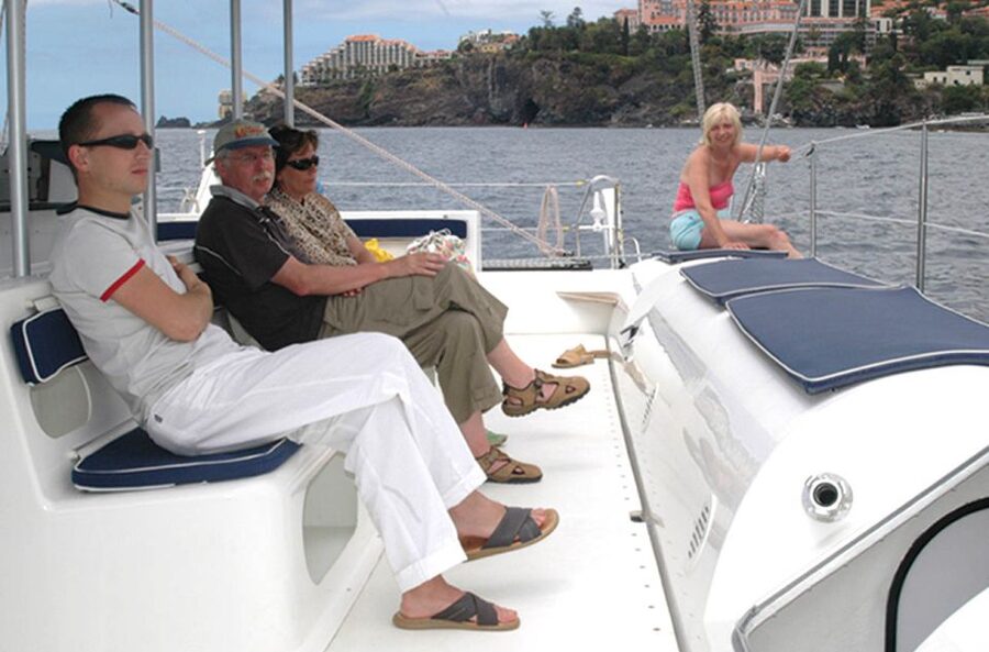 Funchal: Dolphin and Whale Watching Catamaran Cruise - Why This 3-Hour Catamaran Works So Well in Madeira
