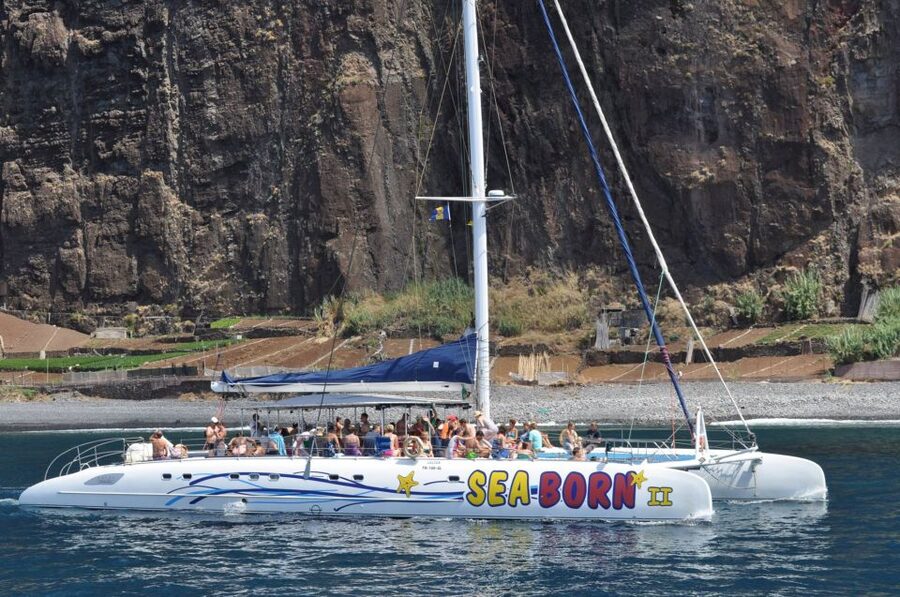 Funchal: Dolphin and Whale Watching Catamaran Cruise - Onboard Comfort, Drinks, and How the Crew Runs Things