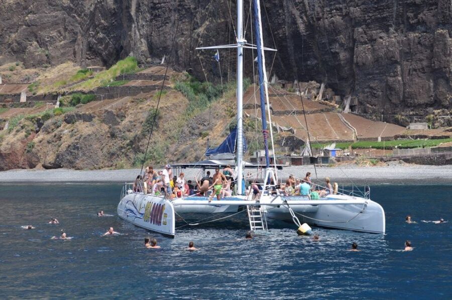 Funchal: Dolphin and Whale Watching Catamaran Cruise - Should You Book the Funchal Dolphin and Whale Watching Catamaran?