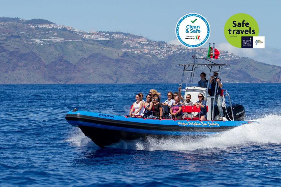Funchal: Dolphin and Whale Watching Cruise - Magic Dolphin check-in and the speedboat vibe