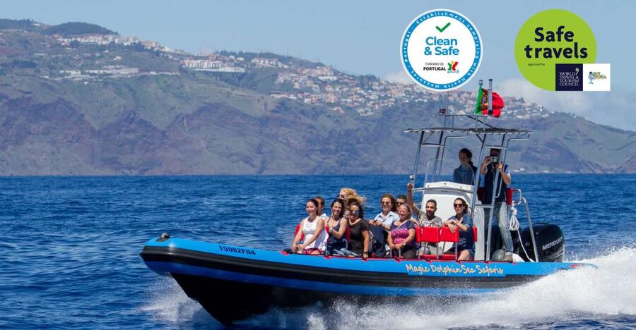 Funchal: Dolphin and Whale Watching Cruise - What you are likely to see off Madeira’s coast
