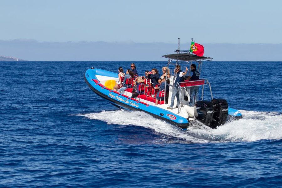 Funchal: Dolphin and Whale Watching Cruise - Who this is for, and who should skip it
