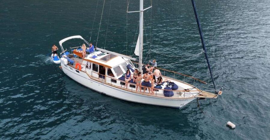 Funchal: Dolphin and Whale Watching Sailing Trip - Key highlights worth knowing