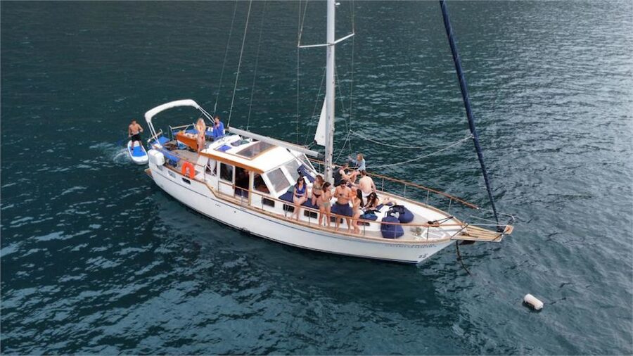 Funchal: Dolphin and Whale Watching Sailing Trip - Dolphins and whales in Madeira waters, with a real sea break