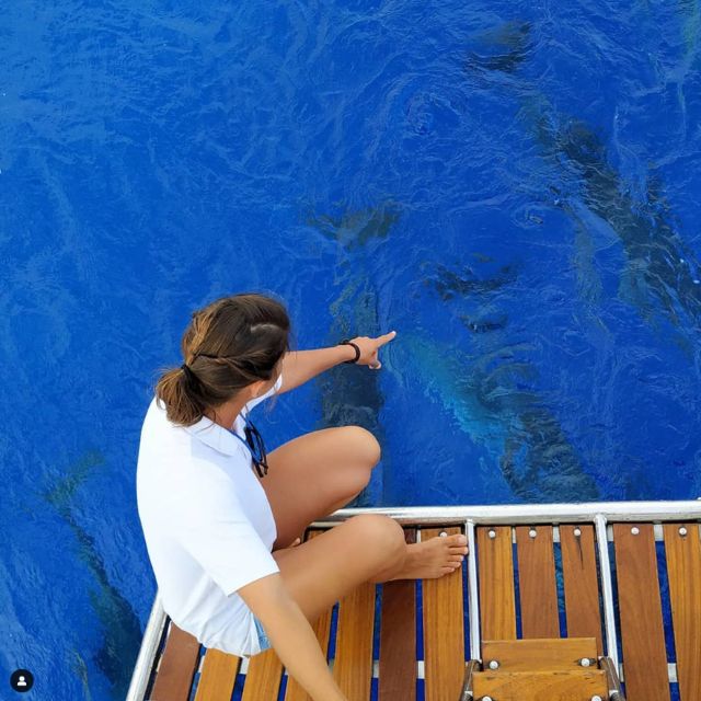 Funchal: Dolphin and Whale Watching Sailing Trip - Cruising near Cabo Girão: why this coast is worth the time