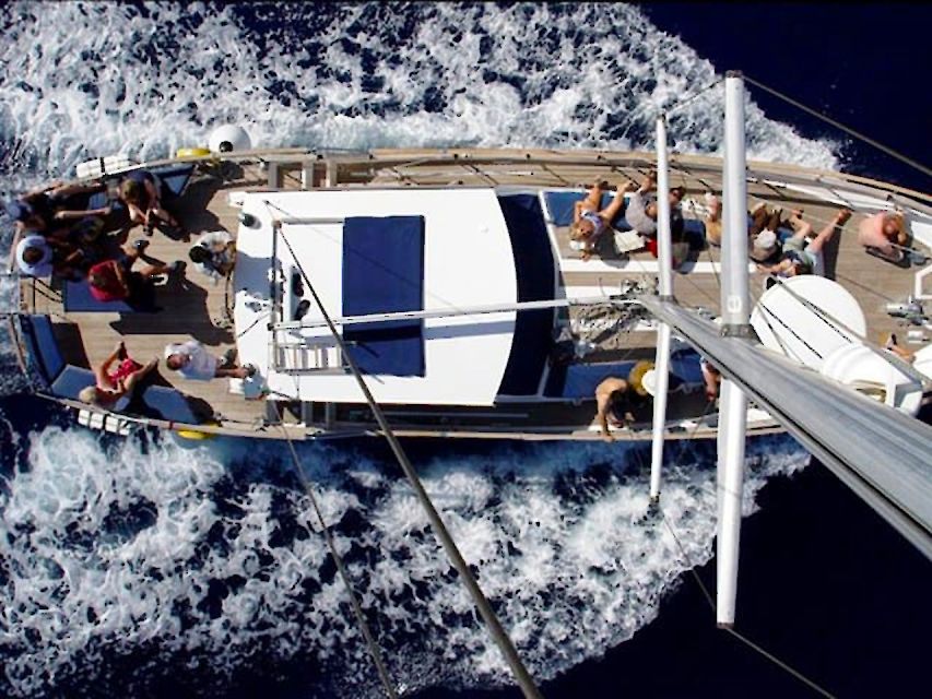 Funchal: Dolphin and Whale Watching Sailing Trip - Wildlife spotting reality: how to maximize your chances without stressing