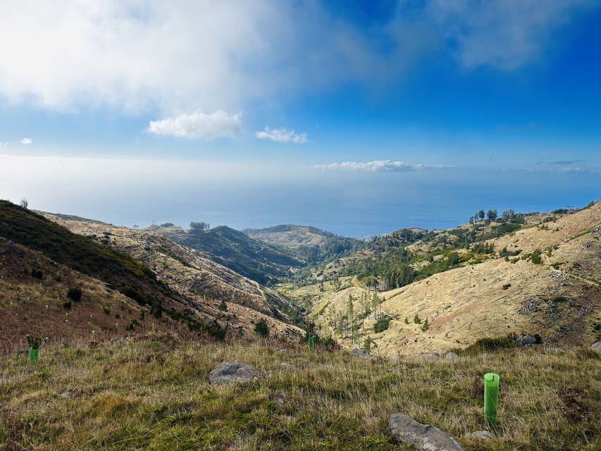Funchal: East Madeira Island Guided Tour & Laurissilva Walk - Price and Value: Why 35 USD Can Work Here