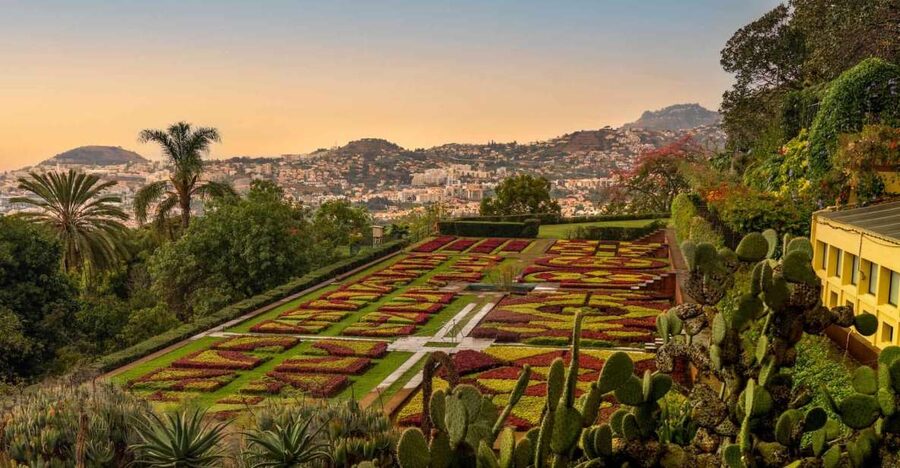 Funchal: Guided Old Town Tuk Tuk Tour and Botanical Gardens - Old Town stops: cathedral facade, Mercado dos Lavradores, and Rua Ferrão Ornelas