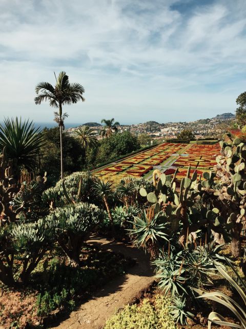 Funchal: Guided Old Town Tuk Tuk Tour and Botanical Gardens - Botanical Gardens: 35,000 square meters of plants, mosaics, and amphitheater energy