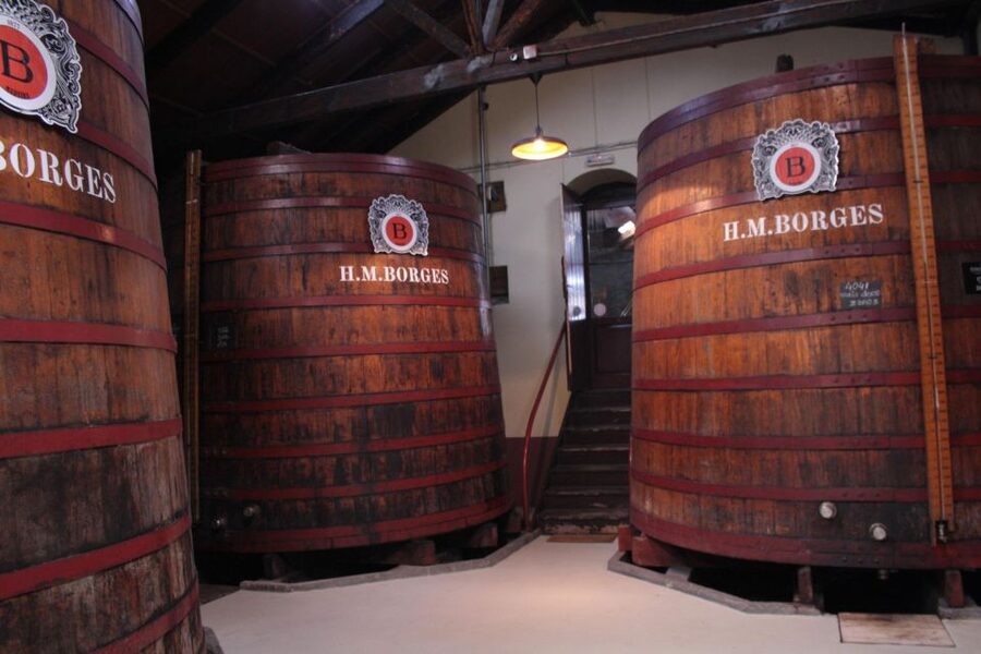 Funchal: H.M. Borges Winery Guided Tour with Wine Tasting - Snacks and pairing: honey cake and sugar cane cookies