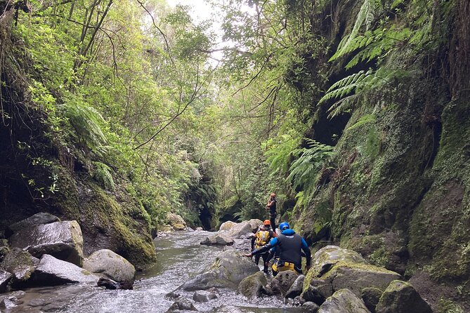 Funchal: Half-day Beginners Canyoning - Stop 1, Lokoloko: kitting up and getting your safety basics fast