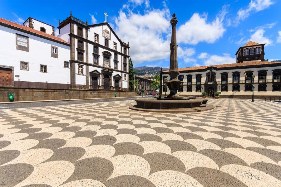 Funchal: Hop-On Hop-Off Bus Tour - Who This Yellow Bus Tour Fits Best