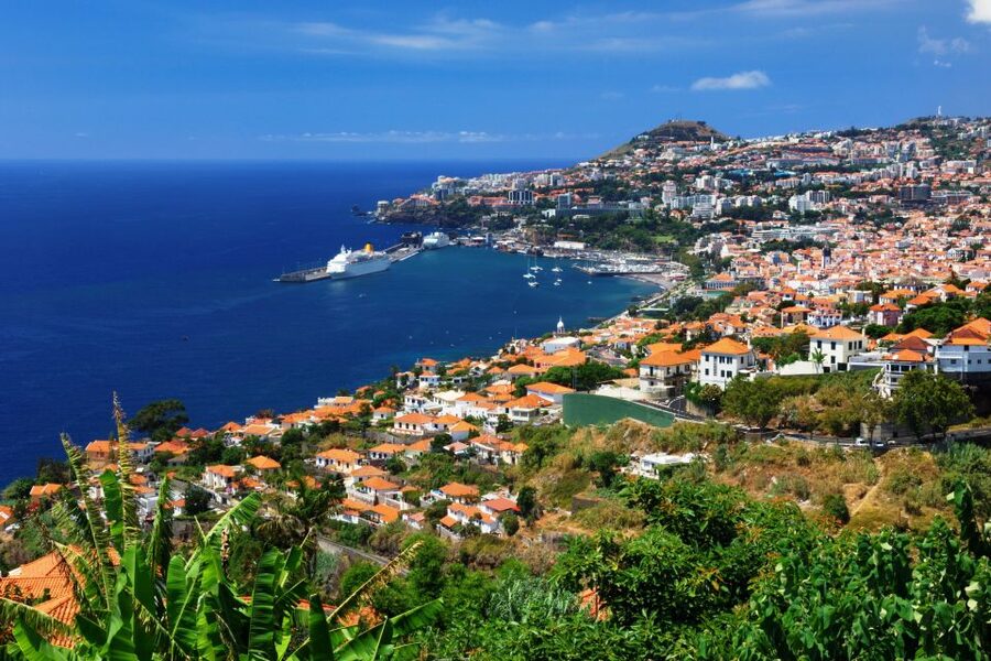 Funchal: Hop-On Hop-Off Bus Tour - Stop by Stop: Town Hall Square, Cathedral, Markets, and Old Funchal