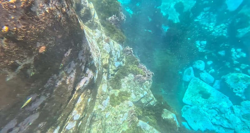 Funchal: Kayak and Snorkel Tour to Garajau NR - Praia do Lazareto and Garajau: snorkeling that feels real