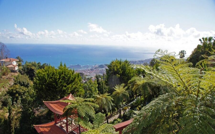 Funchal: Monte Palace Tropical Gardens Tuk Tuk Tour - Key Highlights Worth Planning Around