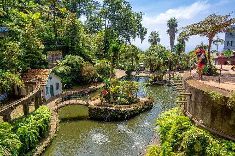 Funchal: Monte Palace Tropical Gardens Tuk Tuk Tour - Tuk Tuk Views Up to Monte Palace in Just 3 Hours