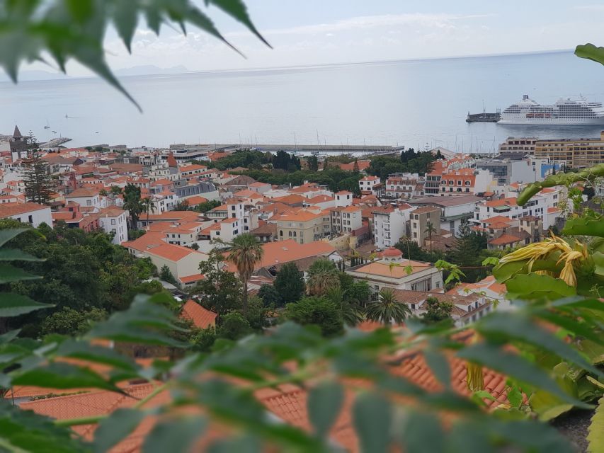 Funchal: Monte Toboggan and Old Town Tour by Tuk-Tuk - Caminho do Monte 82 Photo Stop, Timing at the Bottom, and the Return to Funchal