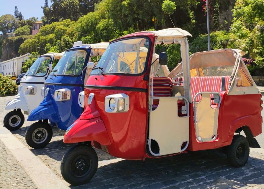 Funchal: Monte Toboggan and Old Town Tour by Tuk-Tuk - Guide Styles That Matter: From Ricky to Tom to Alexis