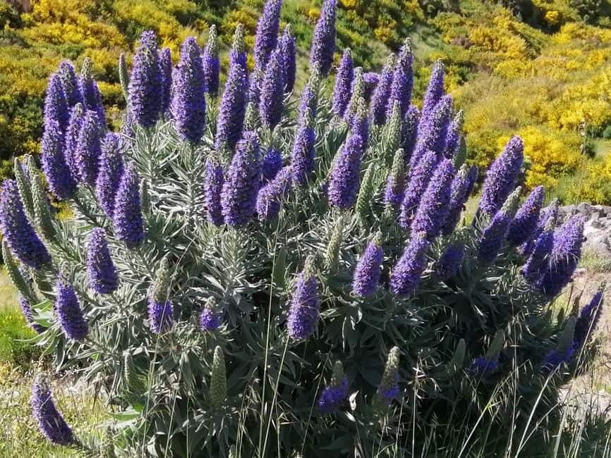 Funchal: Nuns Valley Short Stroll with Mountain Surroundings - Pico dos Barcelos: your quick 360° orientation moment