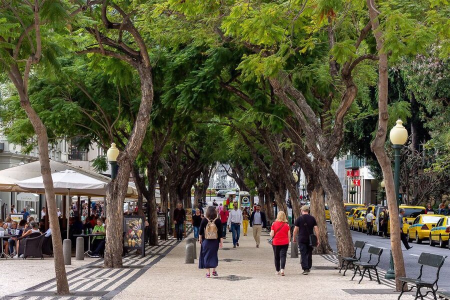 Funchal: Old Town Walking Tour - Why a 2-hour Funchal walk is a smart start in Madeira