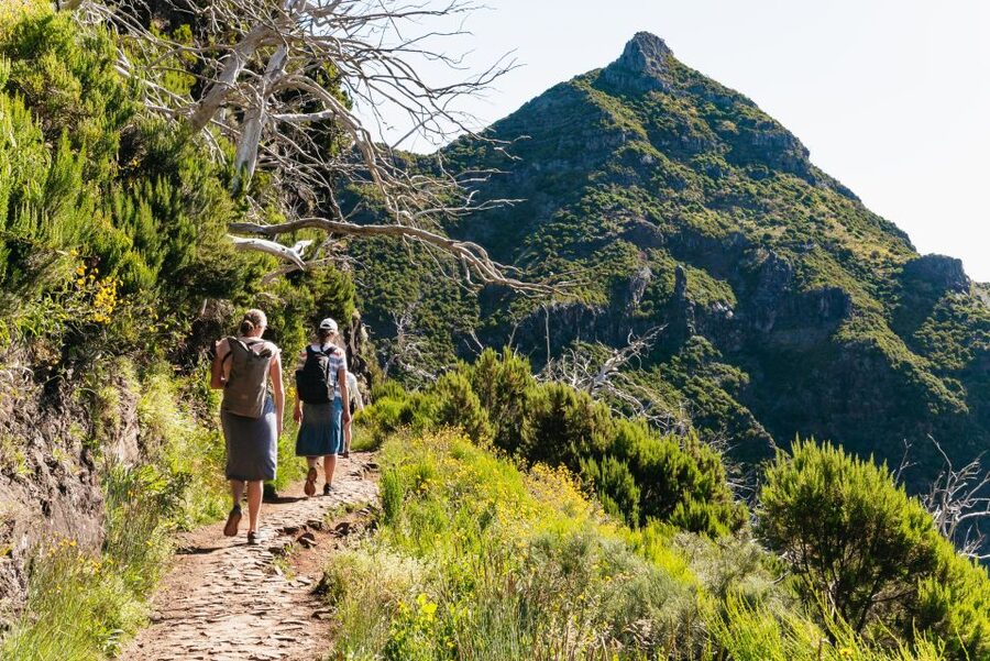 Funchal: Pico do Arieiro Sunrise Hiking Transfer - Key things I’d bank on before you go