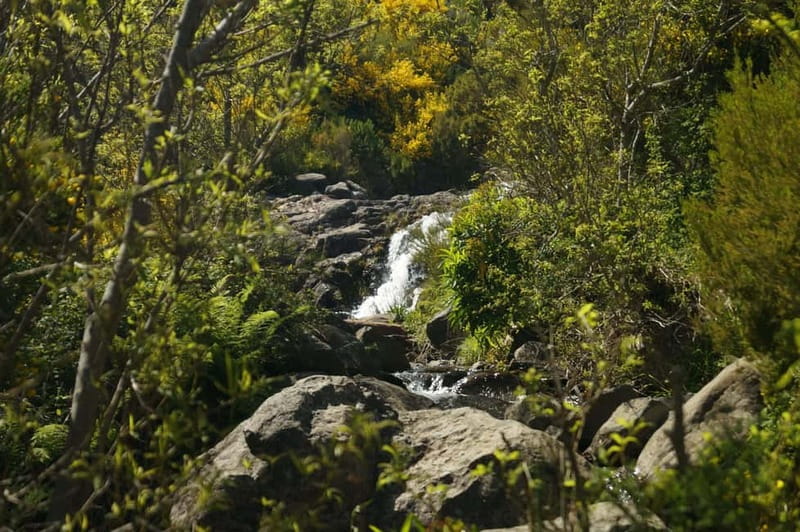 Funchal: Pico do Arieiro Sunrise Plus 2 extra Hiking Trails - Adding PR3.1 for Funchal Bay Views