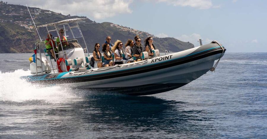 Funchal: RIB Whale Watching Cruise and Optional Dolphin Swim - Boarding in Funchal: Jetty Details That Save Time