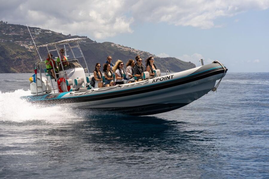 Funchal: RIB Whale Watching Cruise and Optional Dolphin Swim - Chasing Dolphins and Whales Around Madeira’s Coast