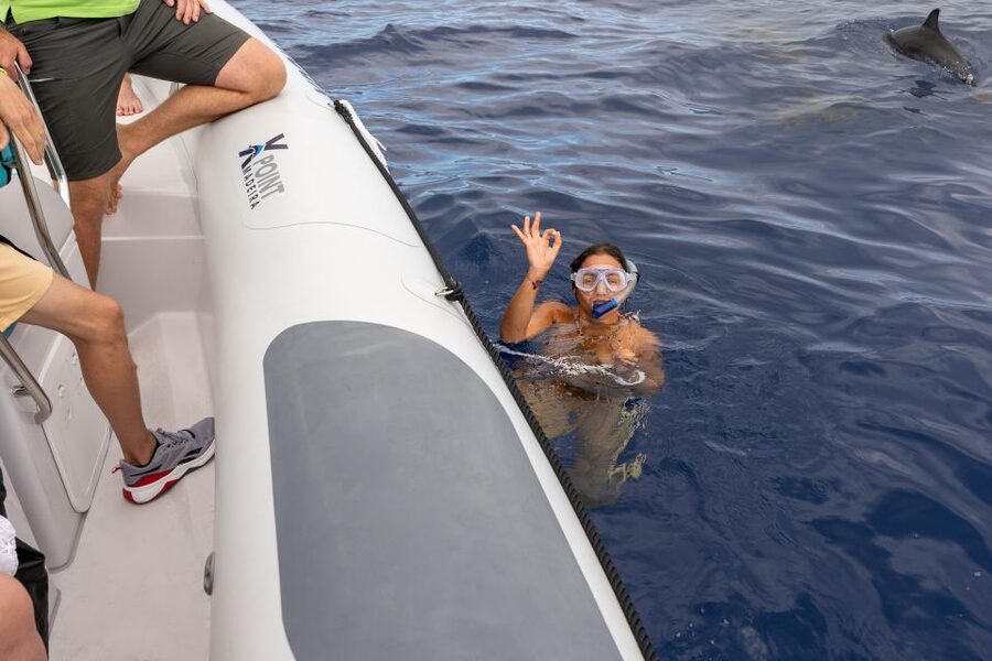 Funchal: RIB Whale Watching Cruise and Optional Dolphin Swim - The Optional Dolphin Swim: Rules, Gear, and Real Expectations