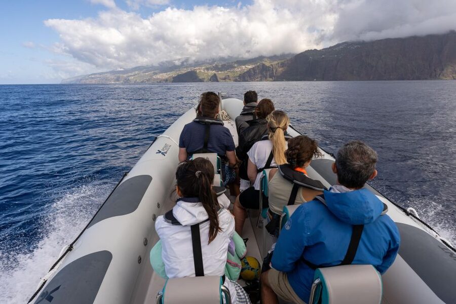 Funchal: RIB Whale Watching Cruise and Optional Dolphin Swim - Boat Life: What Makes This RIB Better Than a Big Cruise