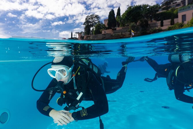 Funchal: Scuba Diving Experience for Beginners - Key highlights to watch for